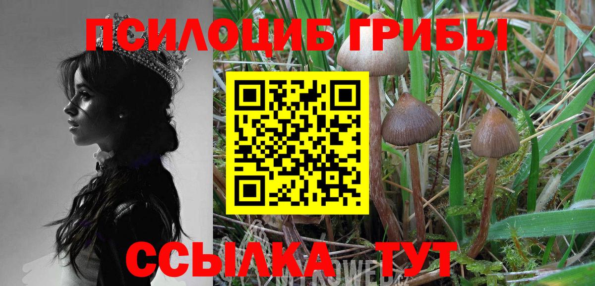Крымск  Галлюциногенные грибы прущие грибы  Вход с VPN 